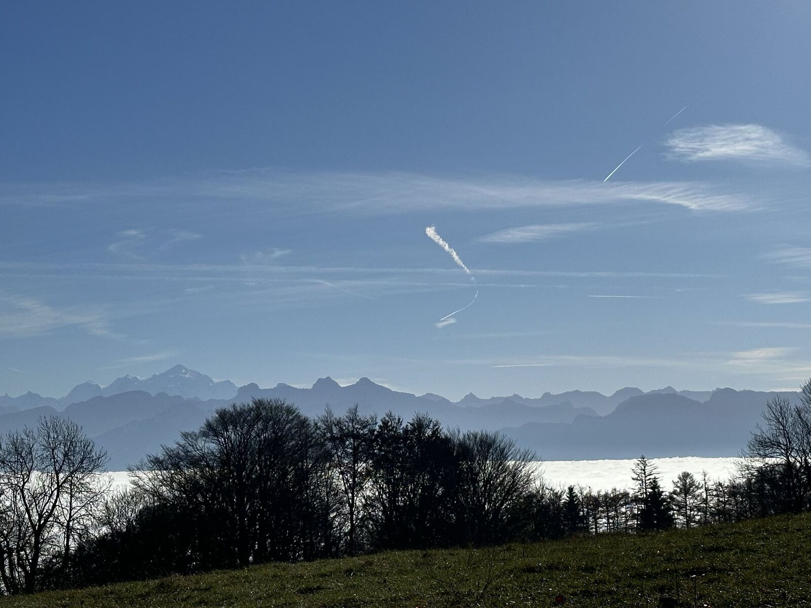 [Description de la photo 2]