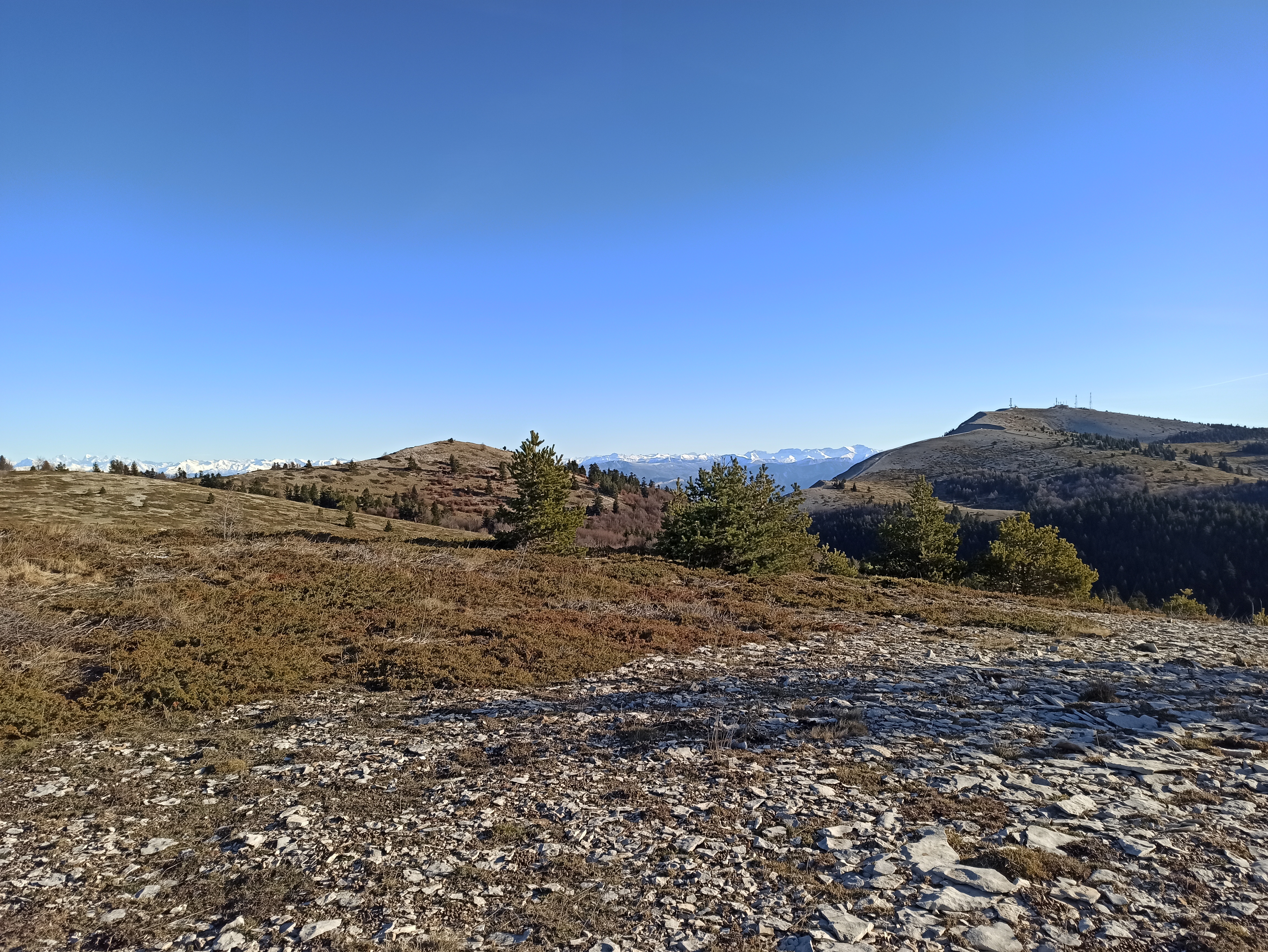 [Description de la photo 1]
