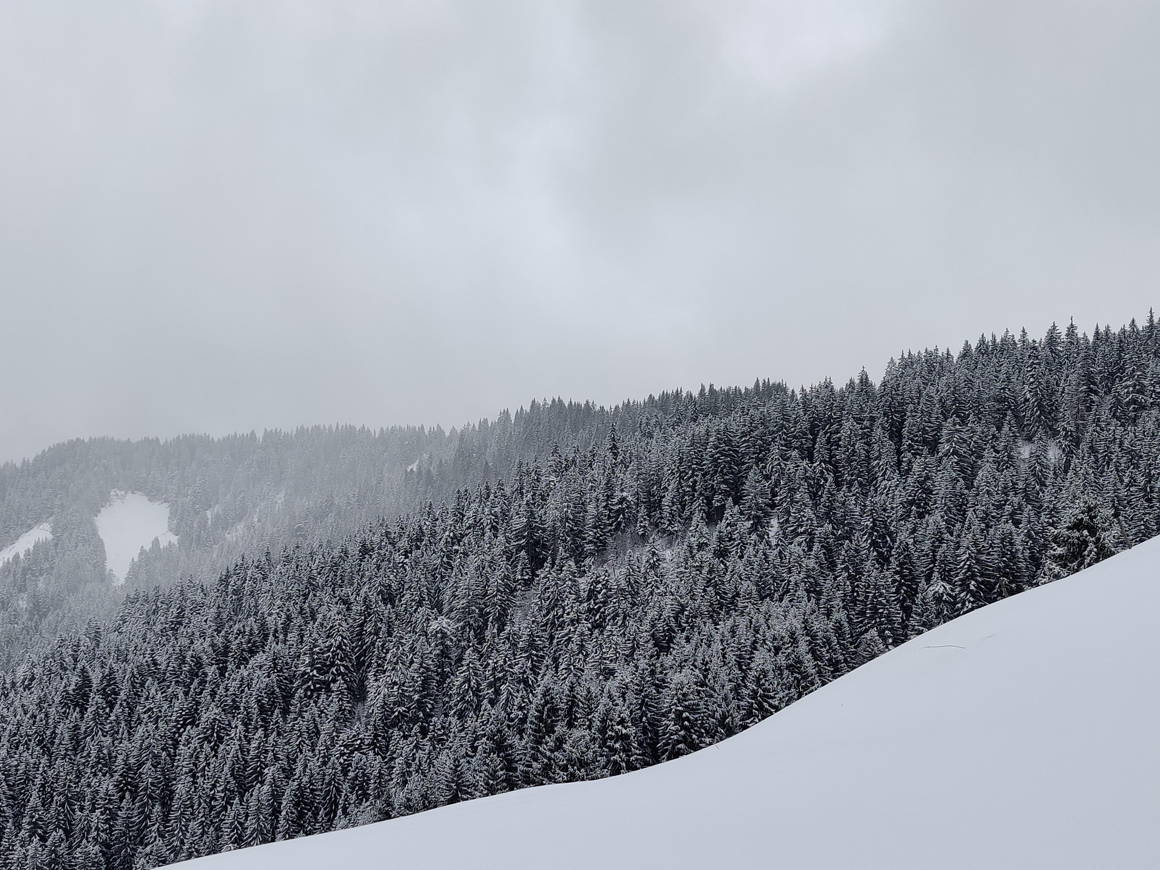 [Description de la photo 1]