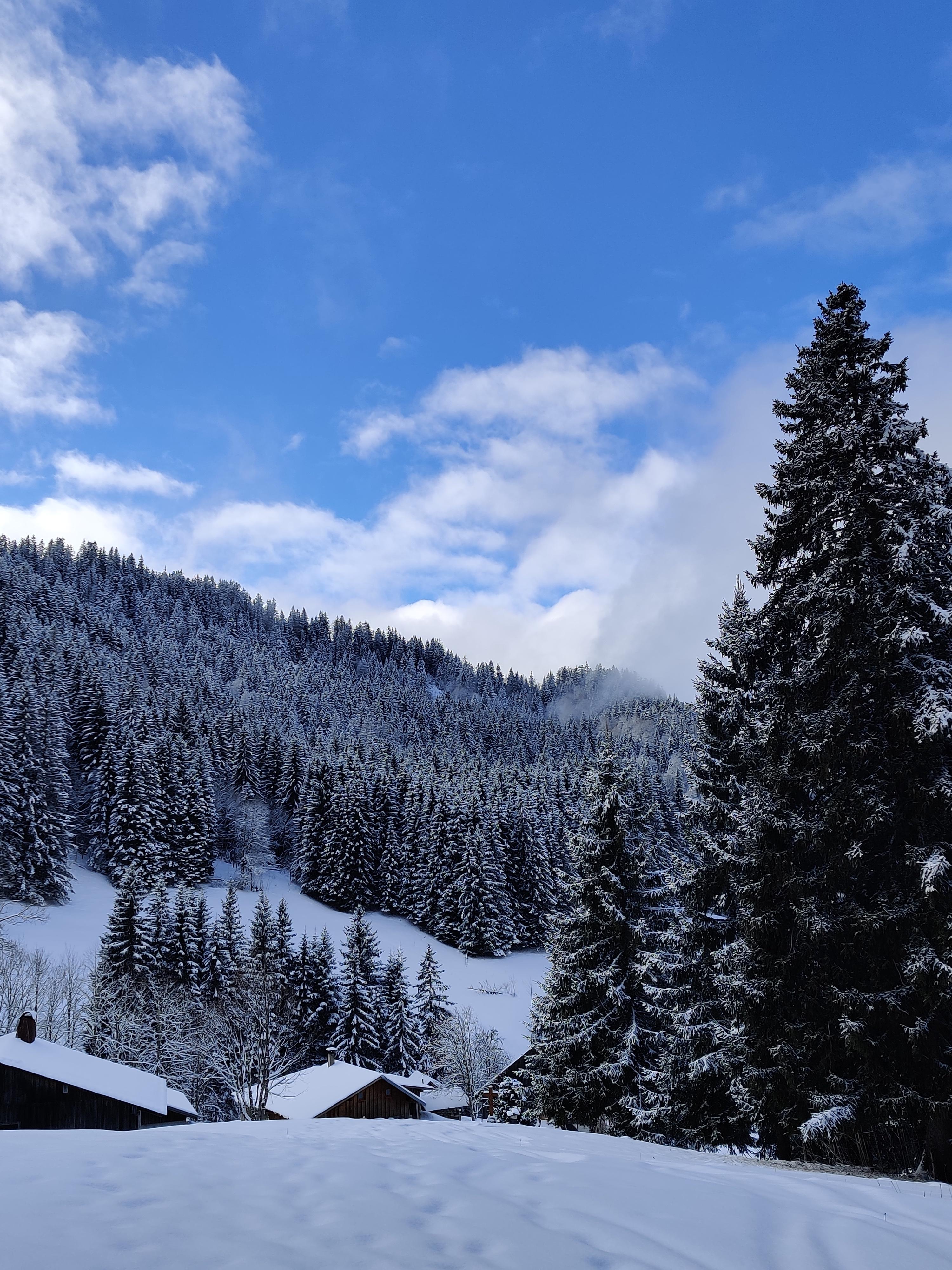 [Description de la photo 3]
