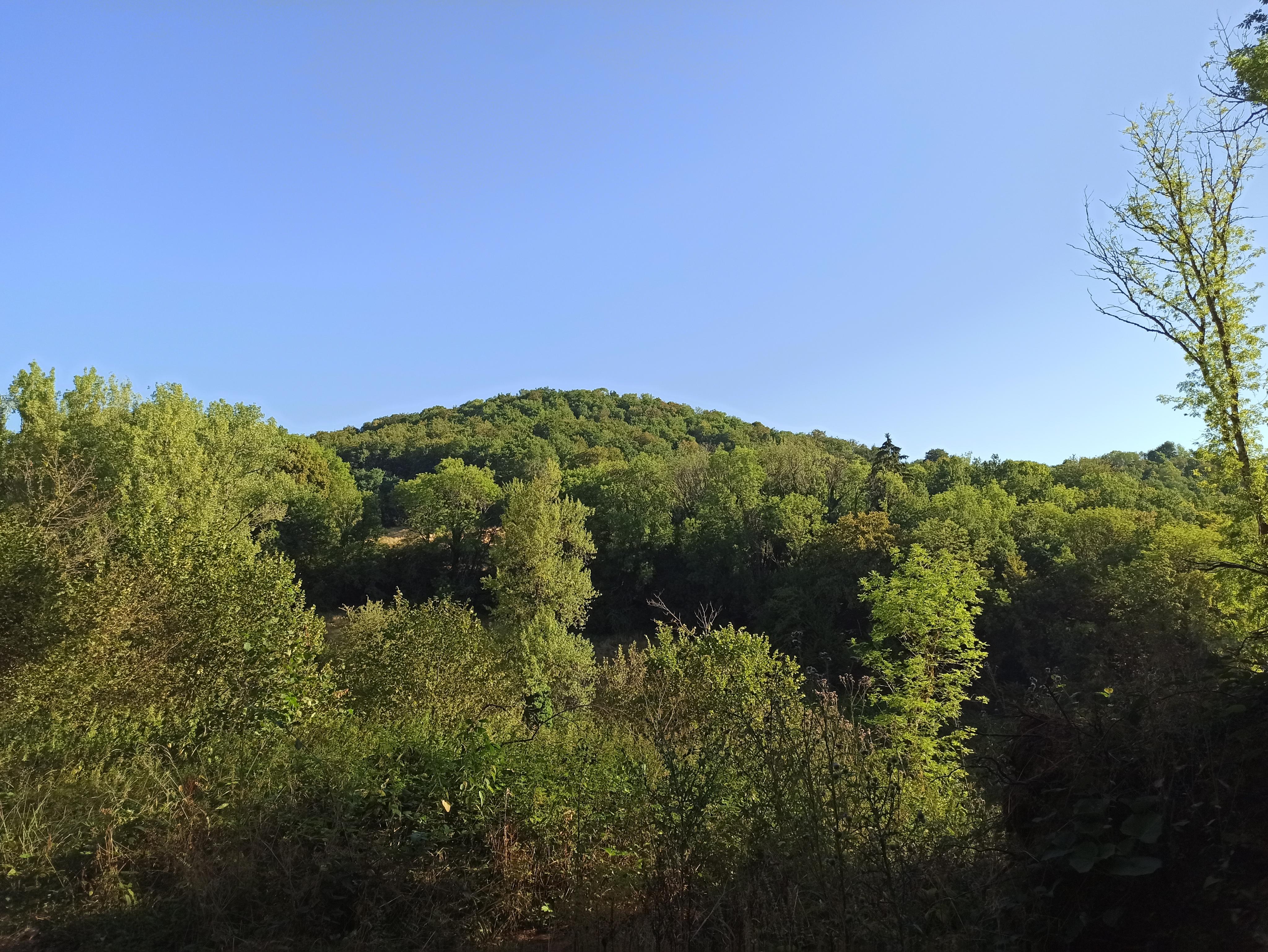 [Description de la photo 2]